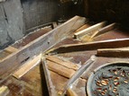 DSC01992 - Copy.JPG