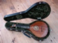 DSC02051 - Copy.JPG