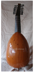 DSC01369 - Copy.jpg