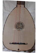 DSC01367 - Copy.jpg